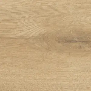 Eiche Siena puro - HARO Sonderedition NKL31, Sonderedition NKL31 Silent Pro