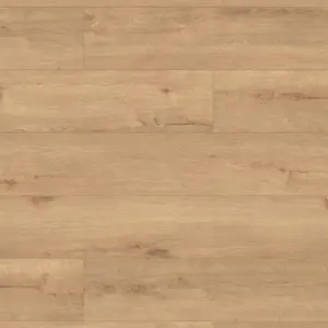 Eiche Music Store - ter Hürne Grand Edition