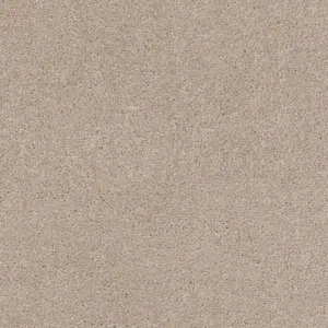 0251 OATMEAL - Lano SmartStrand