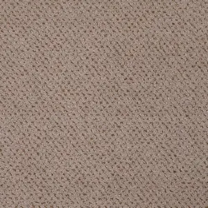 262 CAMEL - Lano Pilotis