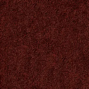 10 - Associated Weavers Carpet your life