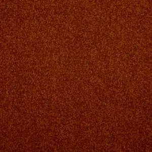 84 - Associated Weavers Carpet your life
