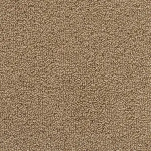 34 - Associated Weavers Carpet your life