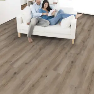 Ziro Vinylan, Vinylan plus object Hydro