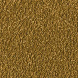 2F97 - Vorwerk® Fascination, Alba