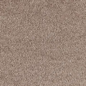 0260 CAMEL - Lano X Wohnen
