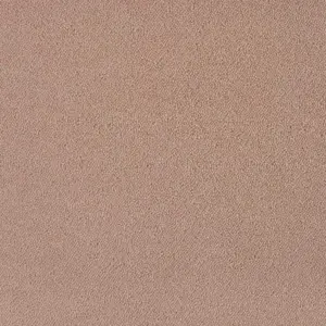 261 CAMEL - Lano Pilotis