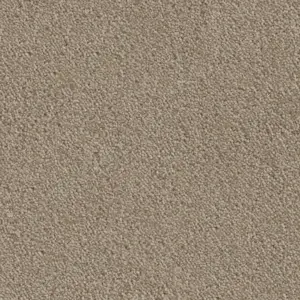 37 - Associated Weavers Carpet your life