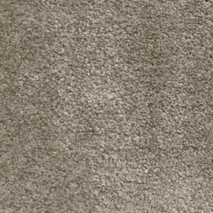 49 - Associated Weavers Carpet your life