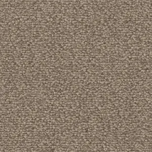 8L32 - Vorwerk® Fascination, Lyrica