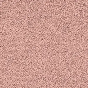 1P97 - Vorwerk® Fascination, Mira