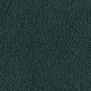 4H79 - Vorwerk® Fascination, Safira