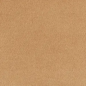 0370 GOLD - Lano SmartStrand