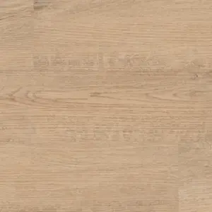 Plain Oak Beige - Wineo Wineo 400 wood XS