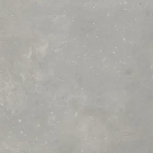 LEONE CLEAR - Gerflor Primetex