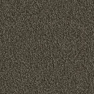 9G21 - Vorwerk® Fascination, Safira