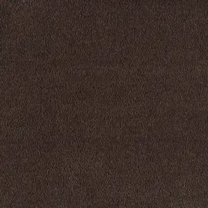 0290 SEPIA - Lano SmartStrand