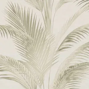 A.S. Création