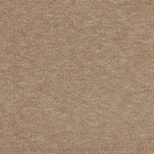 0264 CAMEL - Lano X Wohnen