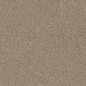 37 - Associated Weavers Carpet your life