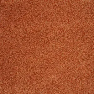 84 - Associated Weavers Carpet your life