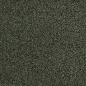 0590 MOOS - Lano SmartStrand
