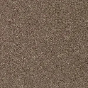270 ALMOND - Lano Pilotis