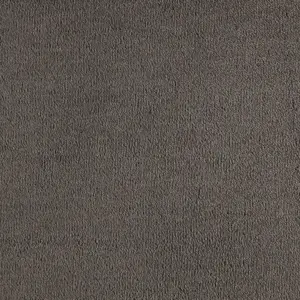 0810 CHARCOAL - Lano SmartStrand