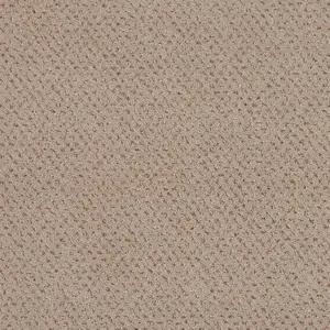 462 HEMP - Lano Pilotis