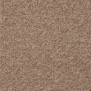 269 CAMEL - Lano Pilotis