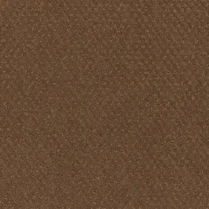 261 CAMEL - Lano Pilotis