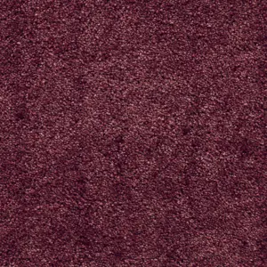 19 - Associated Weavers Carpet your life