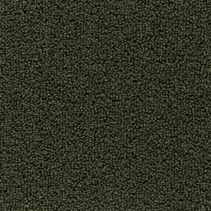 24 - Associated Weavers Carpet your life