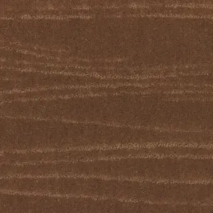 261 CAMEL - Lano Pilotis