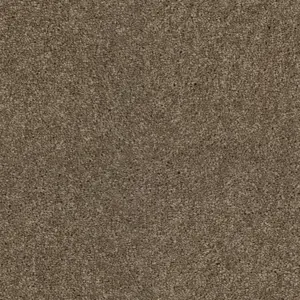 0430 SABLE - Lano SmartStrand
