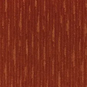 0310 ROST - Lano SmartStrand