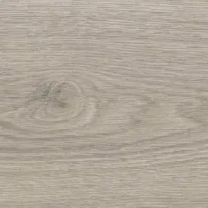 Eiche Flavia grau - HARO Tritty 100 Gran Via, Tritty 100 Gran Via 4V