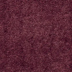 19 - Associated Weavers Carpet your life