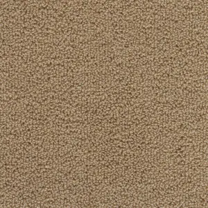 34 - Associated Weavers Carpet your life