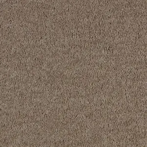 0430 SABLE - Lano SmartStrand