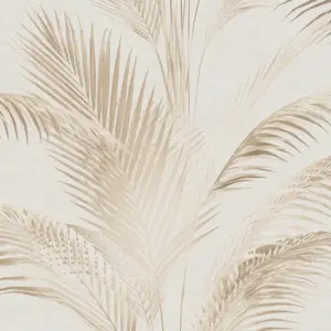 A.S. Création