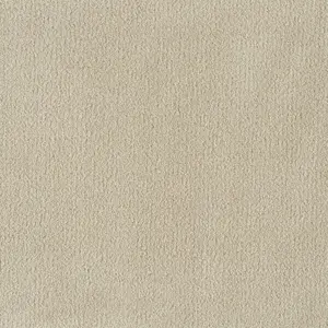 0260 CAMEL - Lano X Wohnen